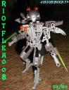 riotfleas007008007b.jpg