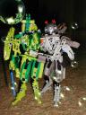 riotfleas007008015.jpg