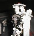 gunguts003.jpg