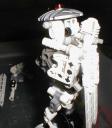 gunguts005.jpg