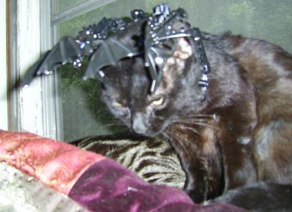 sid_antlers_08282008_002.jpg