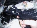 gun_guts.gif