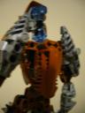 torso_back_detail.jpg