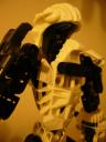 torso_back_detail.jpg