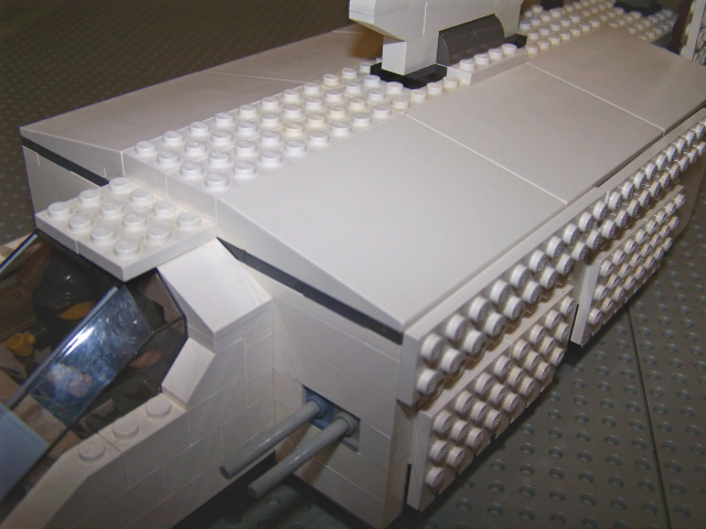 sentinel_roof_6.jpg