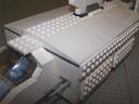 sentinel_roof_6.jpg