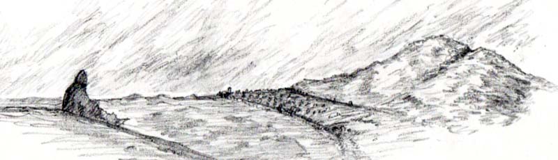 01desp-header.jpg
