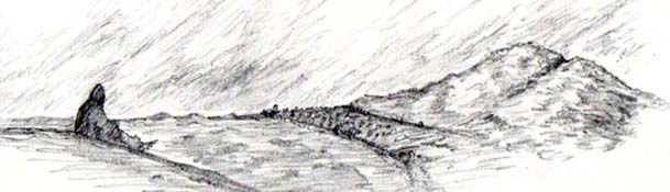 03desp-header.jpg