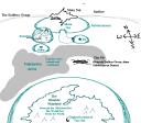 bioworld0.gif