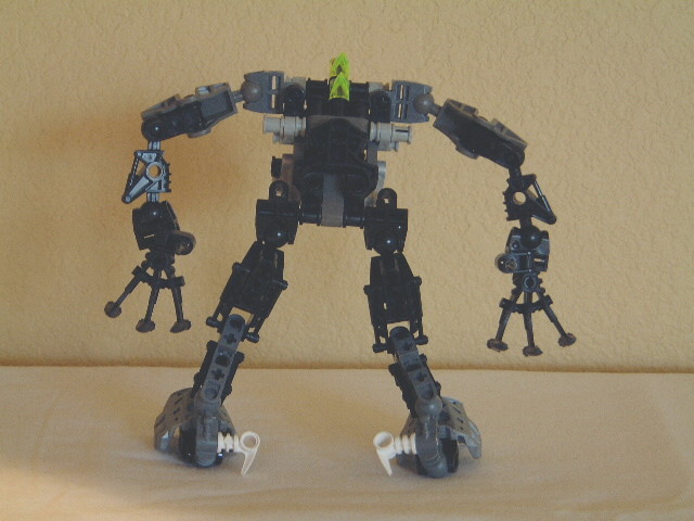 back.jpg