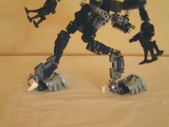 legsdetail.jpg