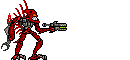 zamor-launch.gif