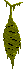 cocoonmove.gif