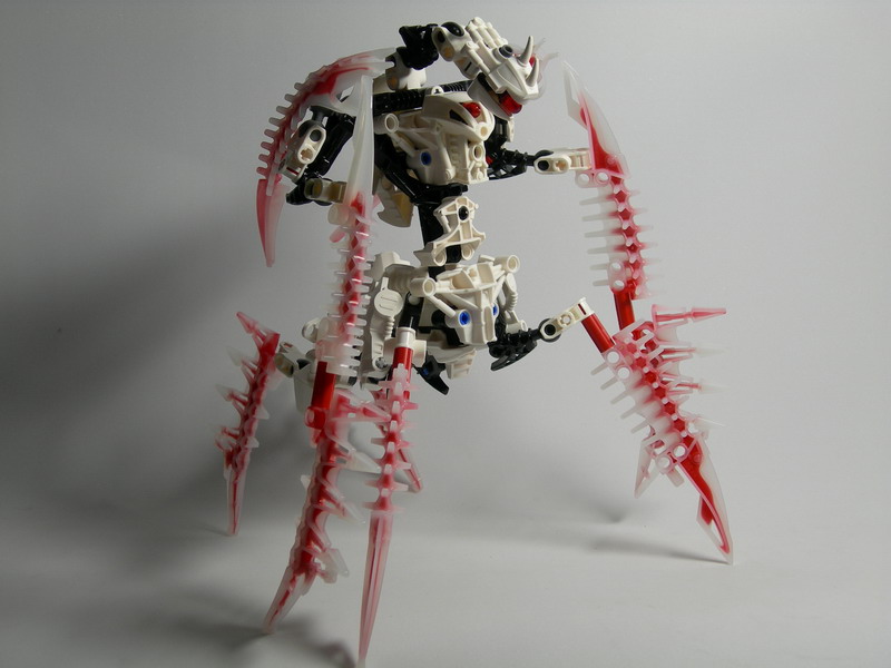 dscn2487.jpg