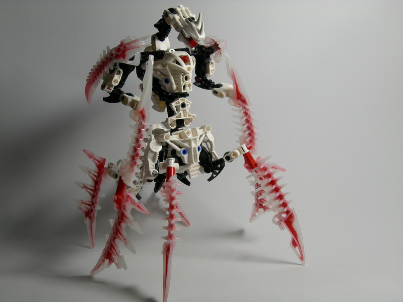 dscn2490.jpg