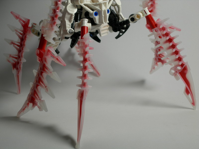 dscn2492.jpg