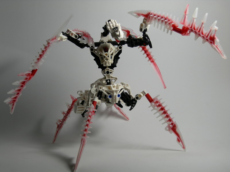 dscn2493.jpg