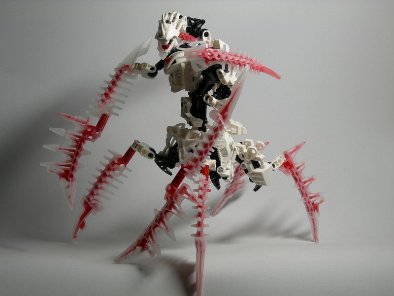 dscn2494.jpg
