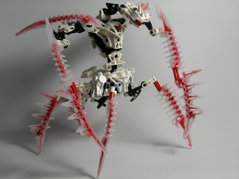 dscn2495.jpg
