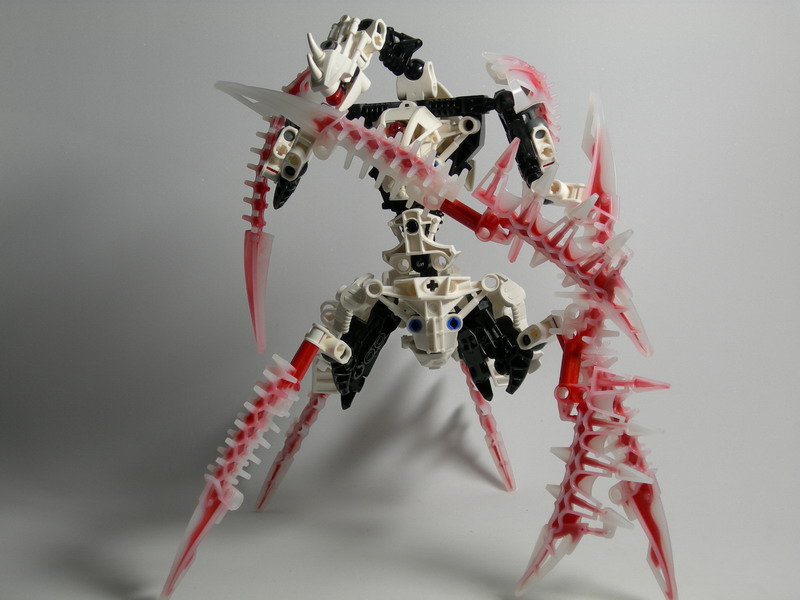 dscn2496.jpg
