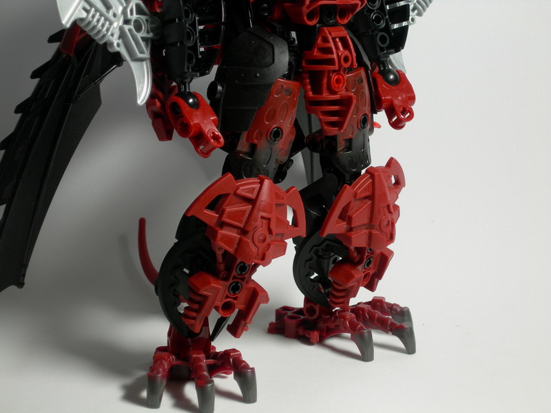 dscn2448.jpg