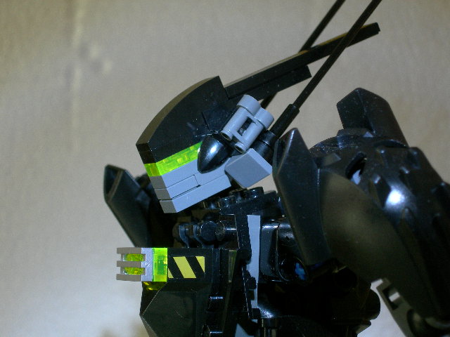 d06.jpg