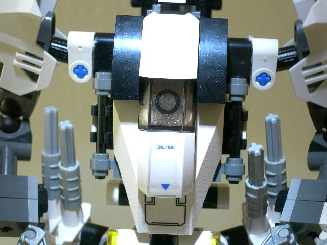 d07.jpg