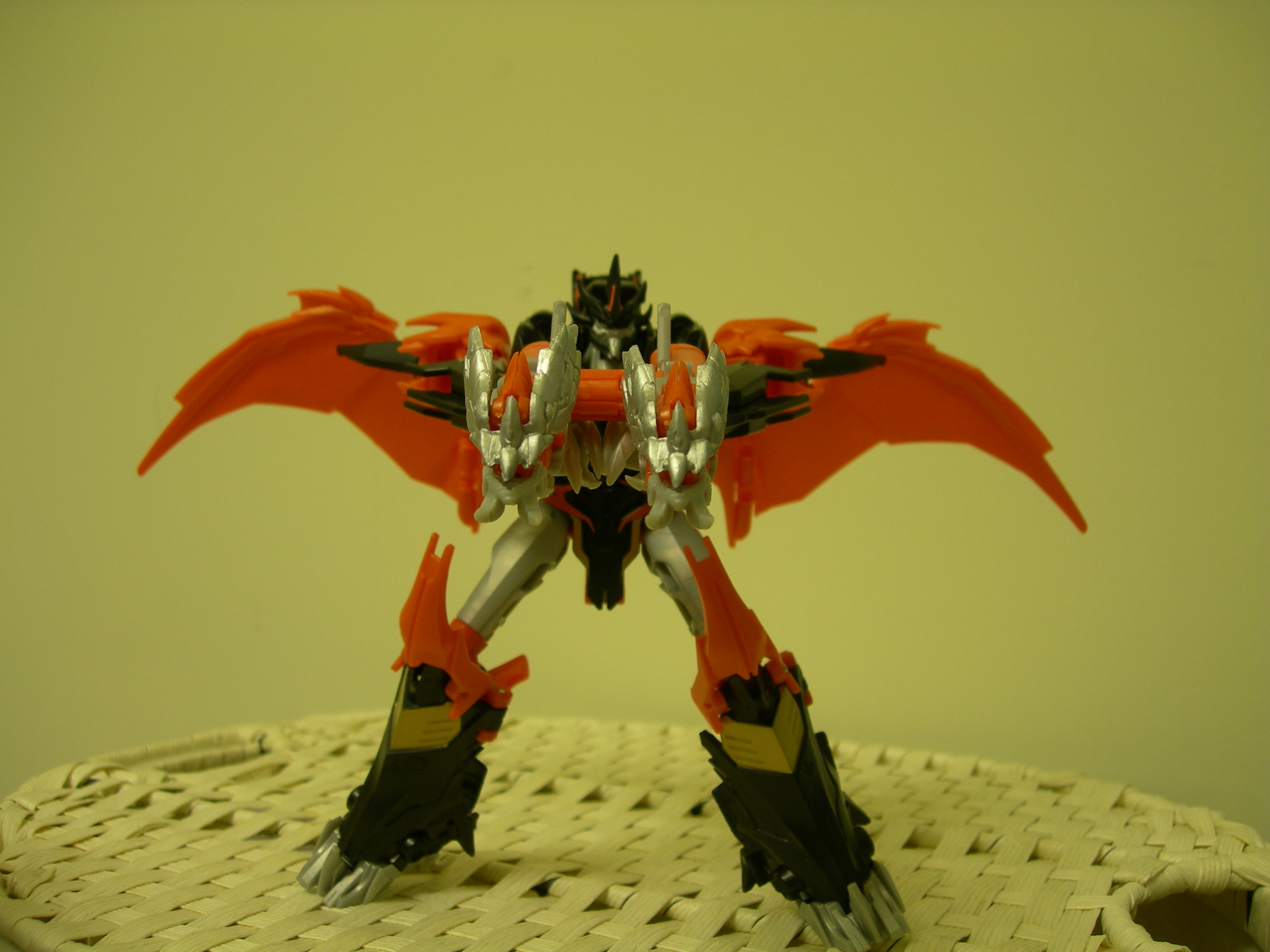 dscn3763.jpg