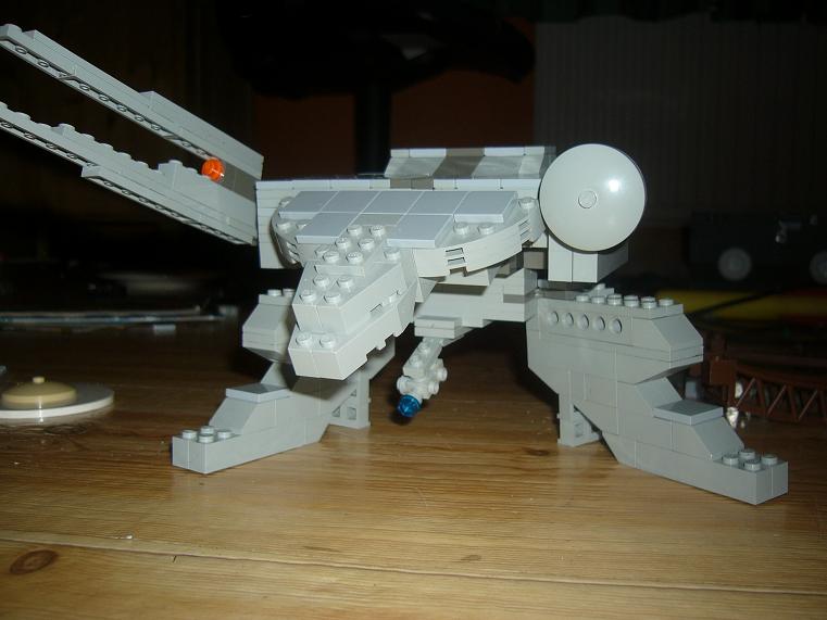rex2.jpg