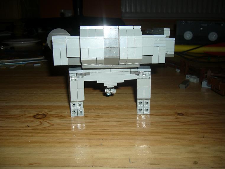 rex5.jpg