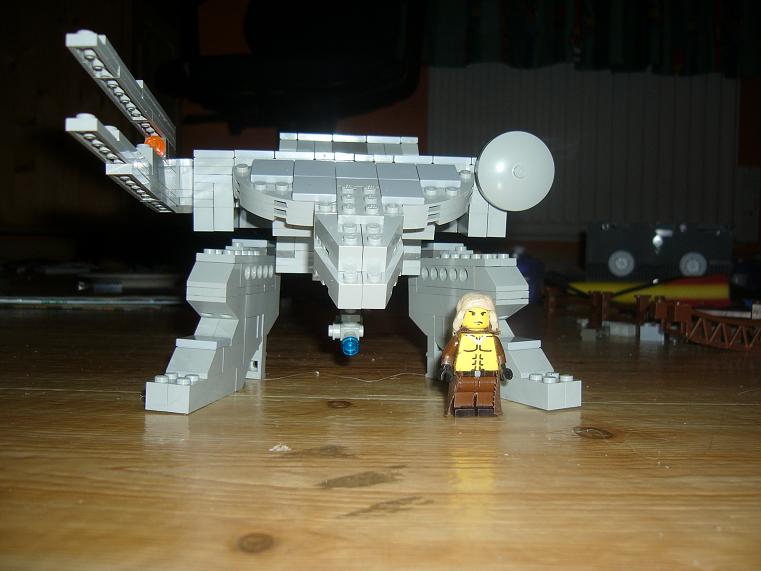 rex6.jpg