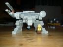 rex6.jpg