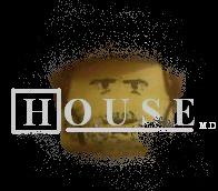 house_logo_3.jpg