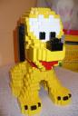 dog_2.jpg