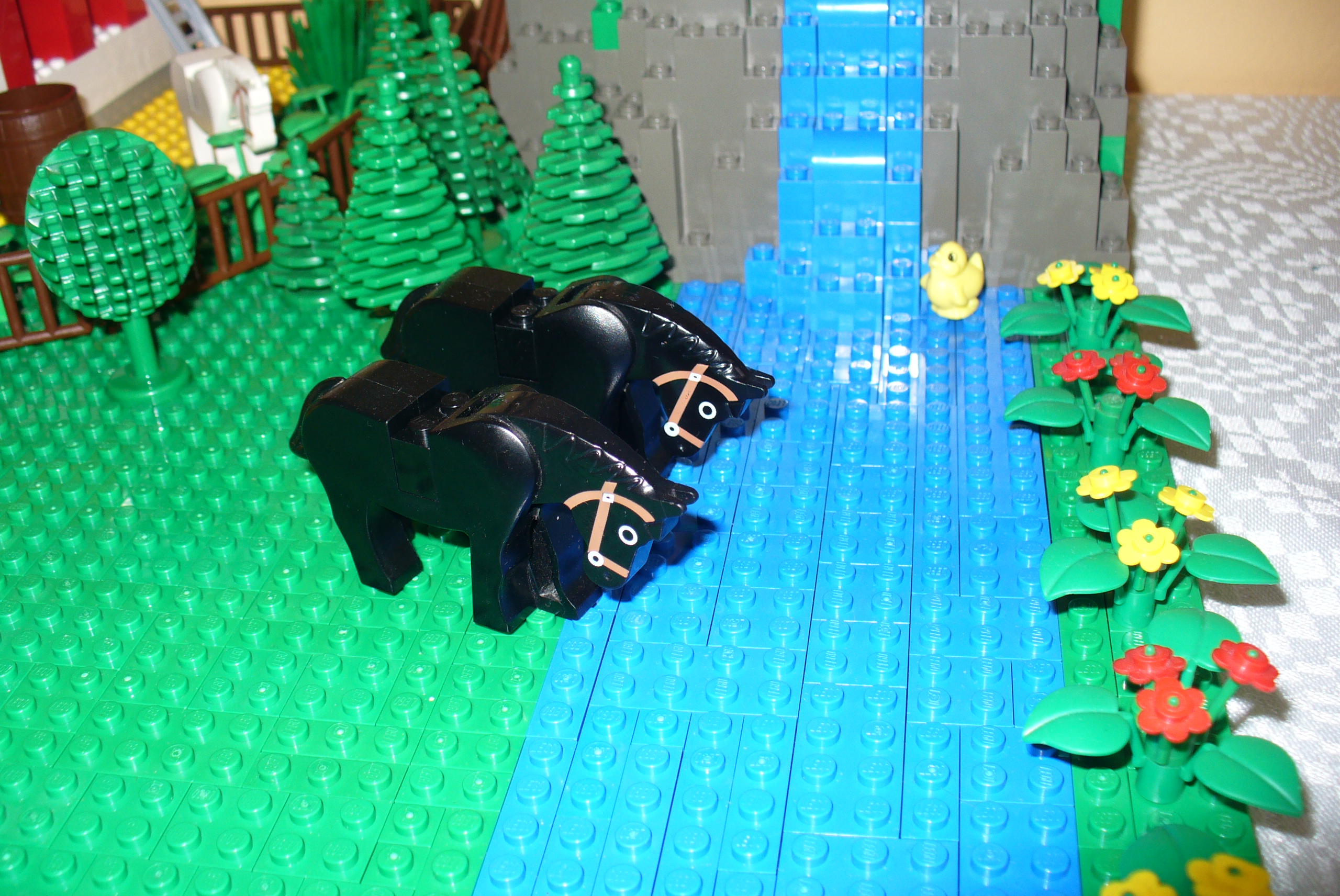 horse_09.jpg