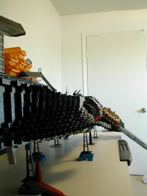 dscn0519.jpg