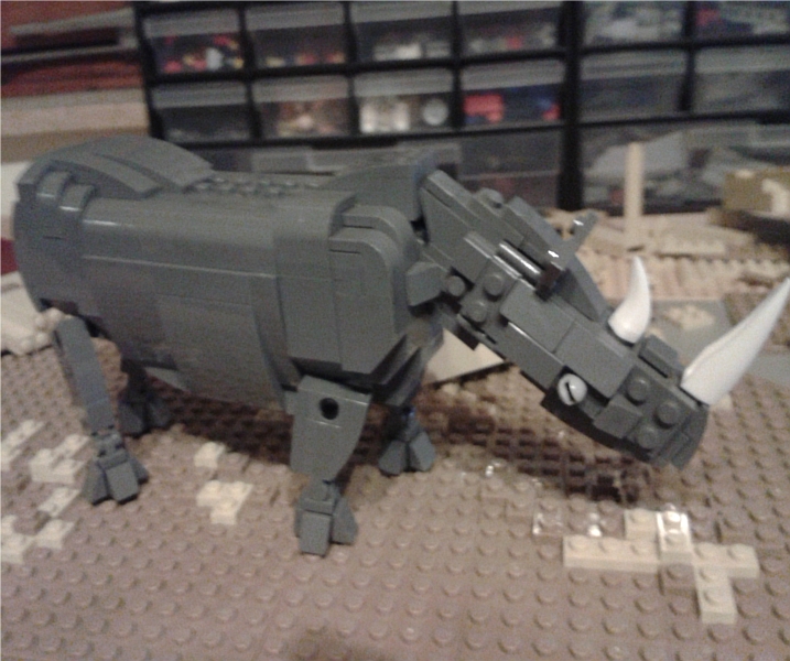 rhino.jpg