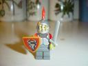 bull_knight_2.jpg