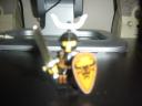 bull_knight_7.jpg