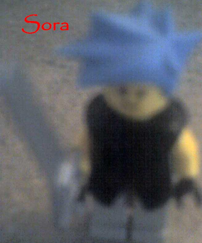 sora.jpg