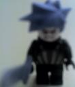 saix.jpg