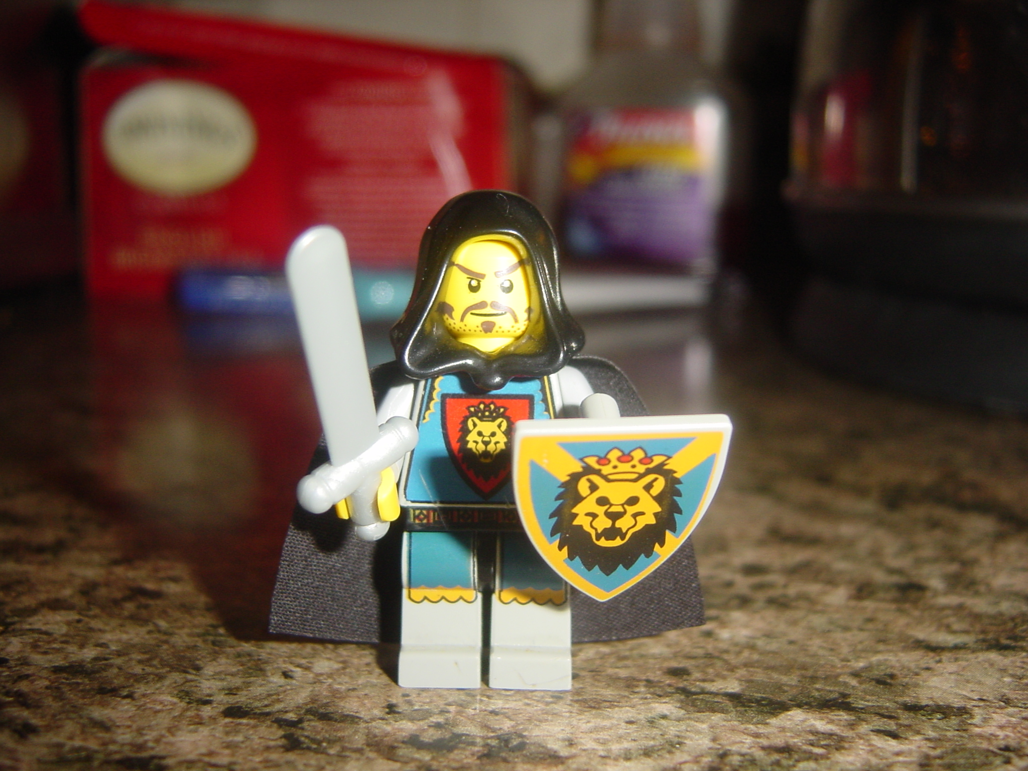 lion_knight_21.jpg