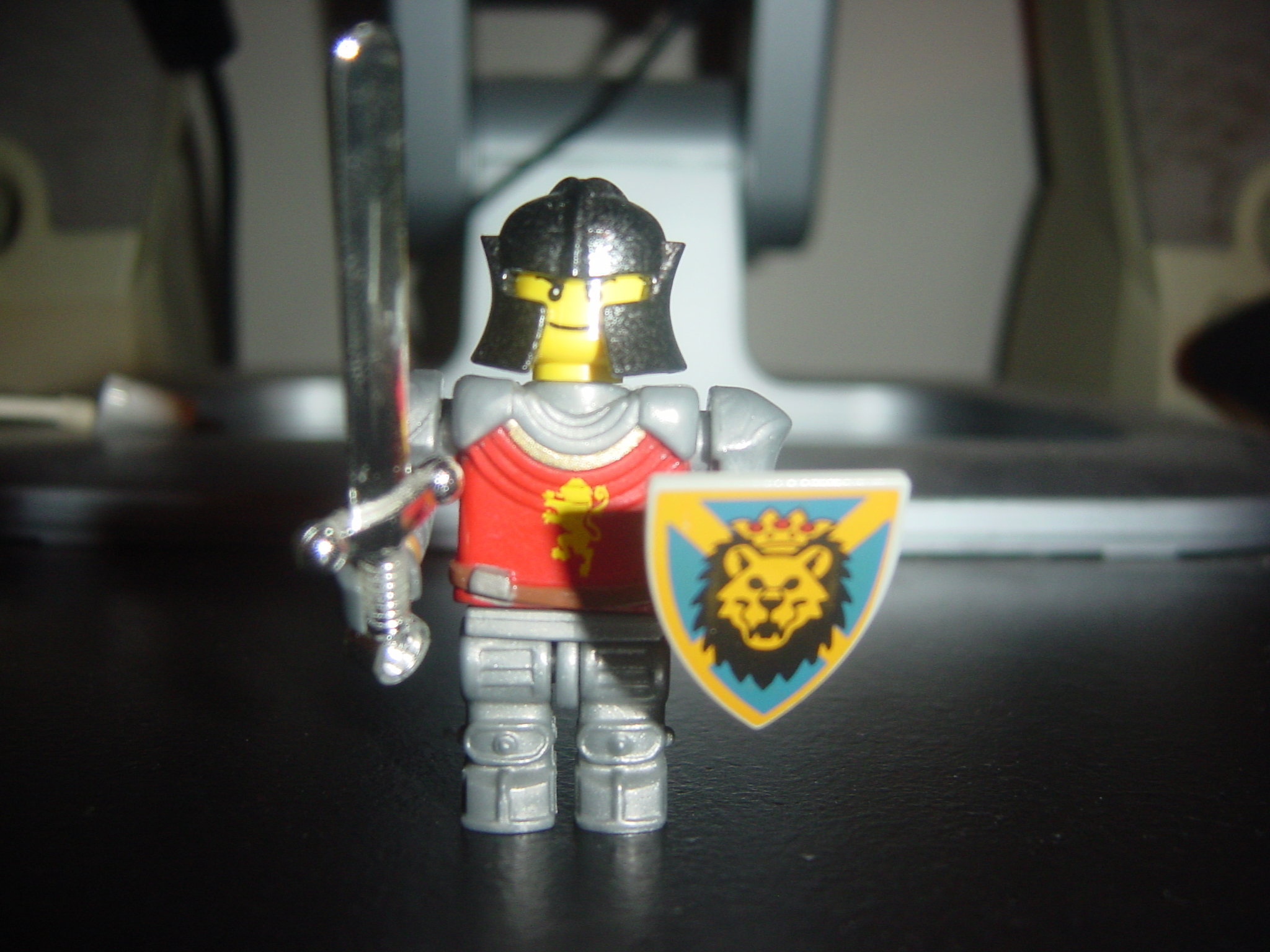 lion_knight_22.jpg