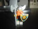 lion_knight_14.jpg