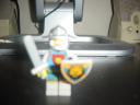 lion_knight_24.jpg