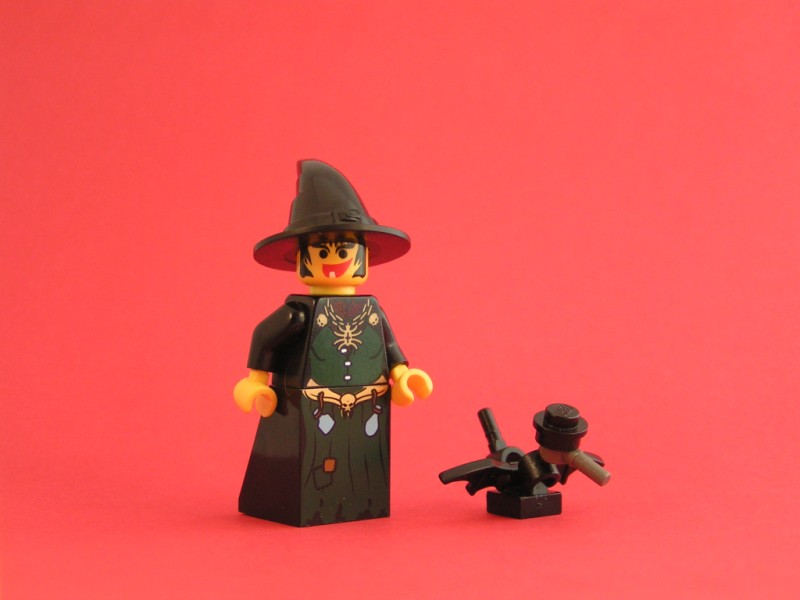 06_-_witch_with_crow.jpg
