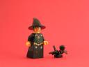 06_-_witch_with_crow.jpg