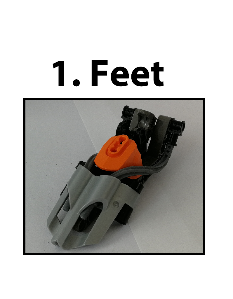 exo-toa_revamp_instructions_003.png