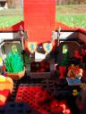 outdoortavern_029.jpg