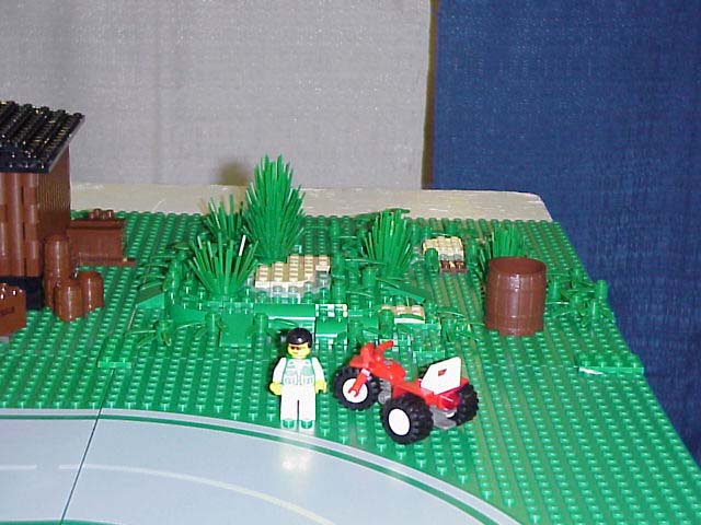 town14.jpg